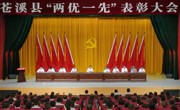广元苍溪县召开“两优一先”表彰大会