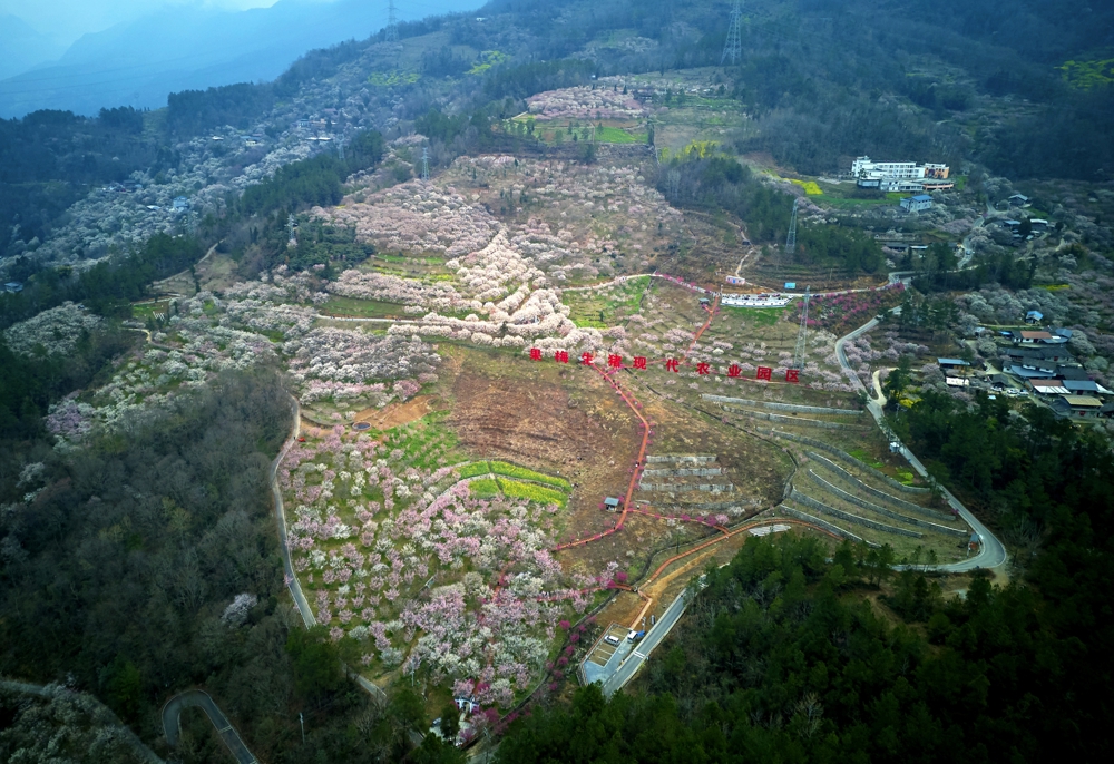 平通果梅现代农业园区