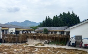 达州大竹石桥铺镇：麻条“晒”出好“钱”景