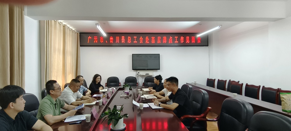 座谈会现场