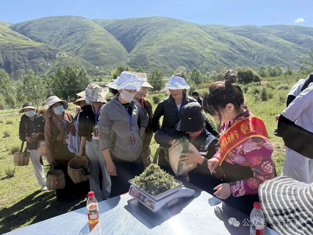 选手们对茶叶进行称重（受访者供图）