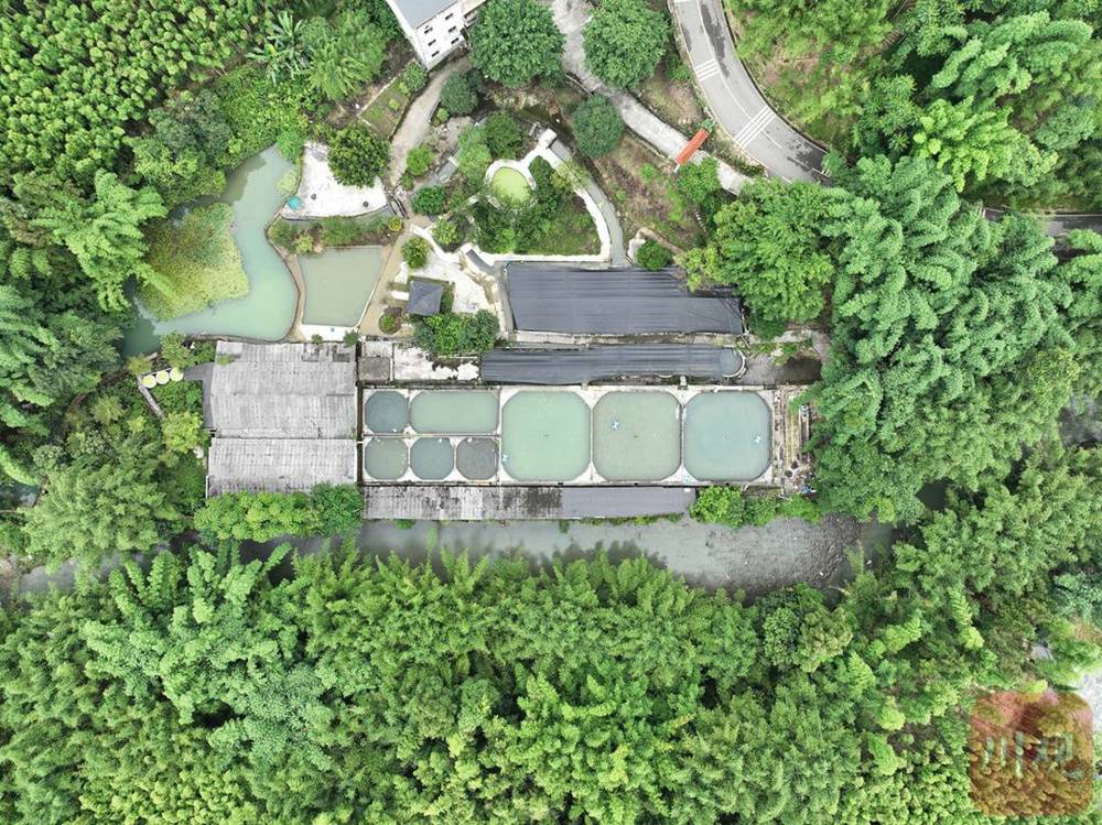 宜宾珍稀水生动物研究所。罗顺 摄