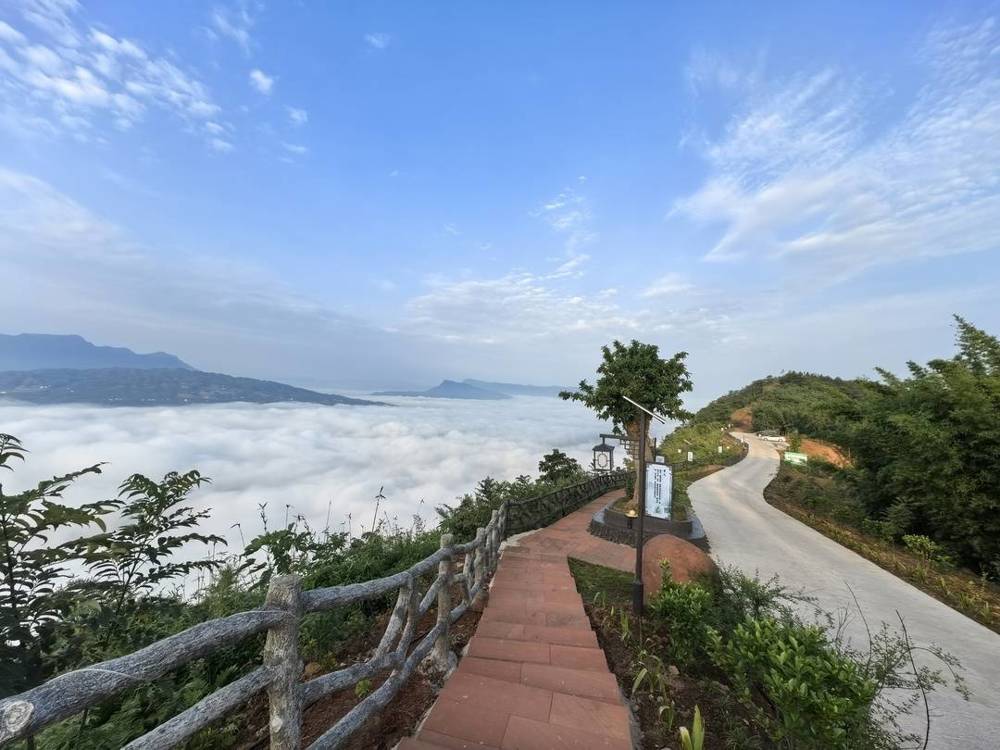牛王山中医药文旅融合试验园。泸州市卫生健康委员会供图
