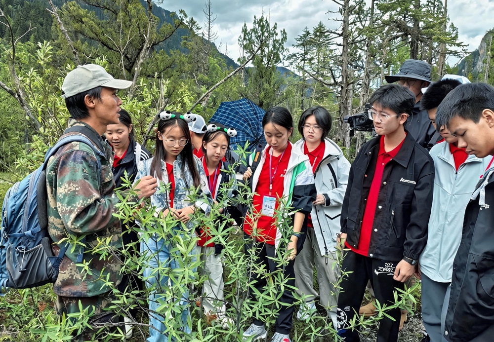 巡护员向访客讲解如何辨认植物
