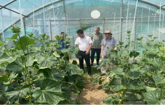 “智兴天府”专家服务改革试点派驻到产业一线