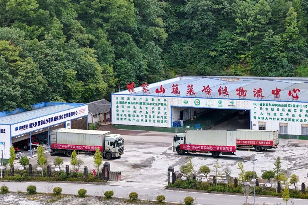 曾家山蔬菜冷链物流中心
