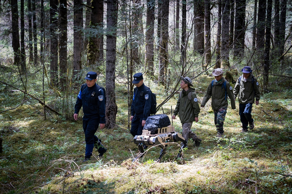公安民警联合巡护员在王朗片区巡护（唐超 摄）
