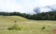 2000公里的接力，“两山”种子在金川高原开花