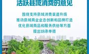 新华社权威快报丨9部门发文活跃县域消费
