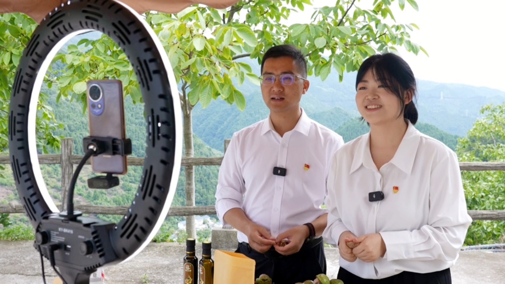 助农直播团队在核桃种植基地直播
