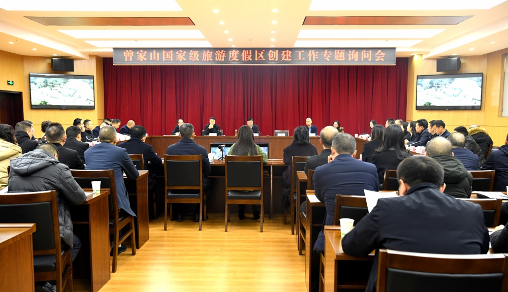 专题询问会