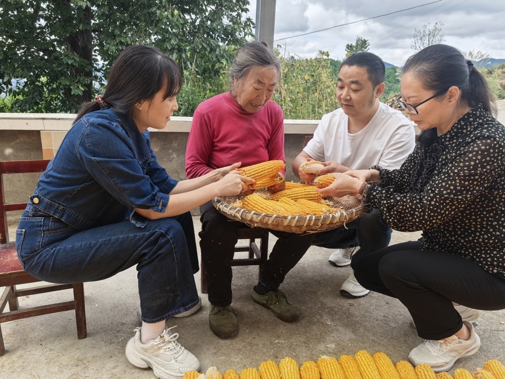 志愿者帮助老人剥玉米