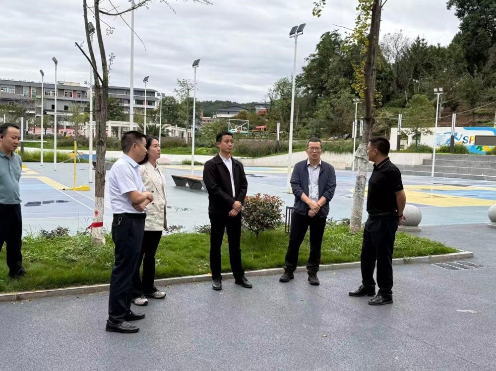昭化区调研活动现场