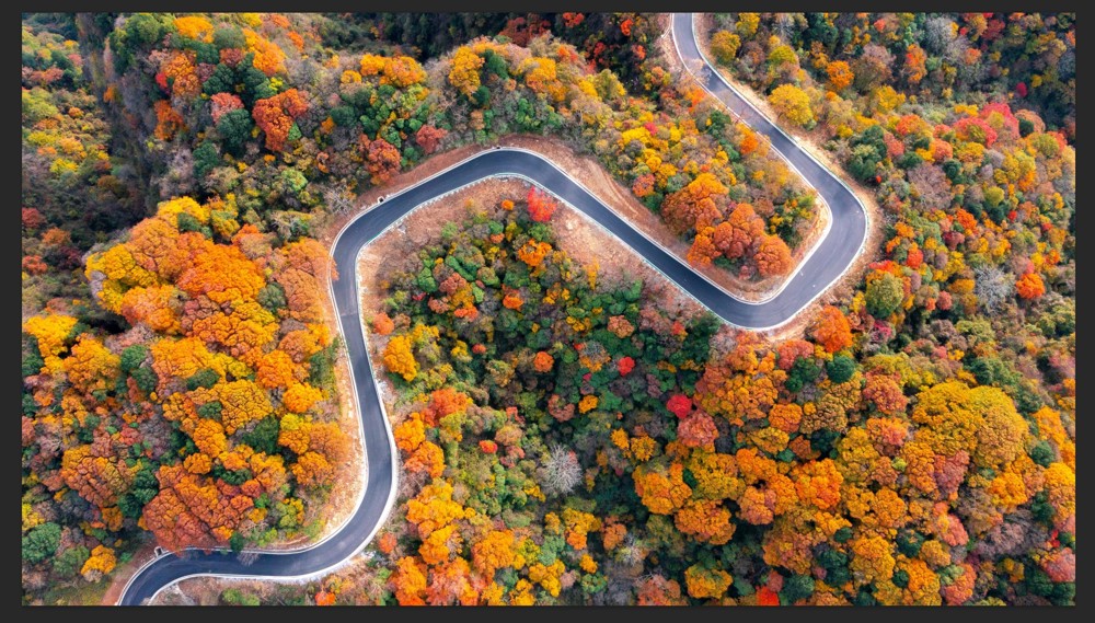 66