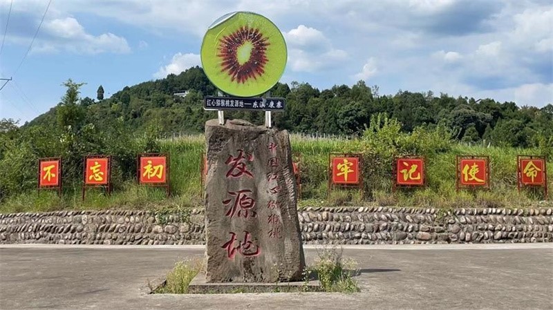 &nbsp; &nbsp; &nbsp; &nbsp; &nbsp; &nbsp; &nbsp; &nbsp; &nbsp; &nbsp; &nbsp; &nbsp; &nbsp; &nbsp; &nbsp; &nbsp; &nbsp; &nbsp; &nbsp; &nbsp; 中国红心猕猴桃发源地