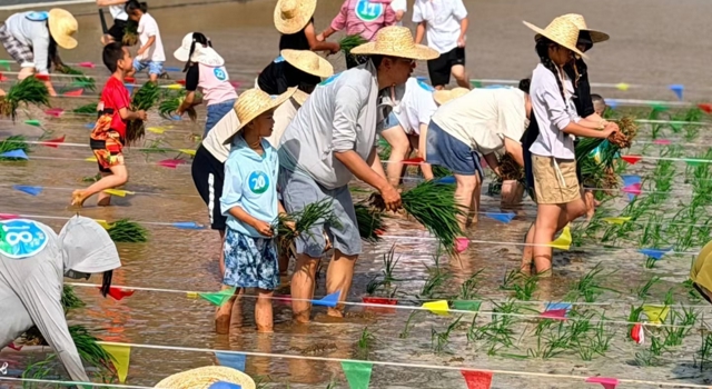 “奔县游”走红 四川乡村凭何接“留量”