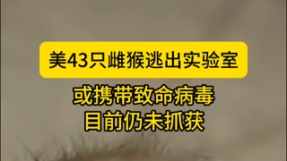 美43只雌猴逃出实验室，或携带致命病毒，目前仍未抓获